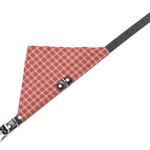 Karlie KOLIBRI Halsband - Rot - 25 mm, 62 cm