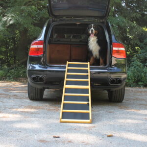 Easy-Hopper Hunderampe Komfort imprägniert mit Feinriefengummimatte
