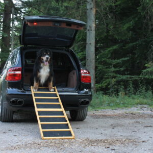 Easy-Hopper Hunderampe Extra Breit Komfort imprägniert mit Feinriefengummimatte