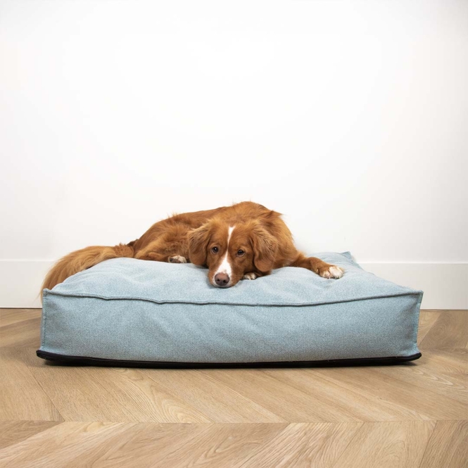 D&D Matratze Eden - ocean - M - 90x65x15cm – Bild 3