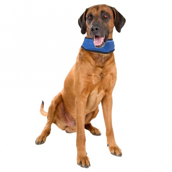 Karlie Flamingo Kühlbandana Fresk - L (45 - 65 cm) – Bild 3