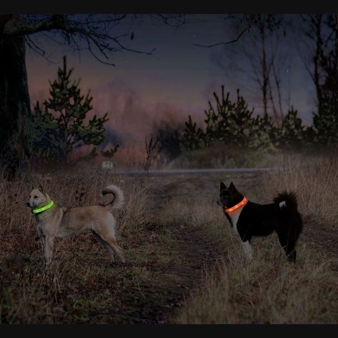 Karlie Flamingo Visio Light Langhaar LED-Leuchtschlauch - Blau – Bild 3