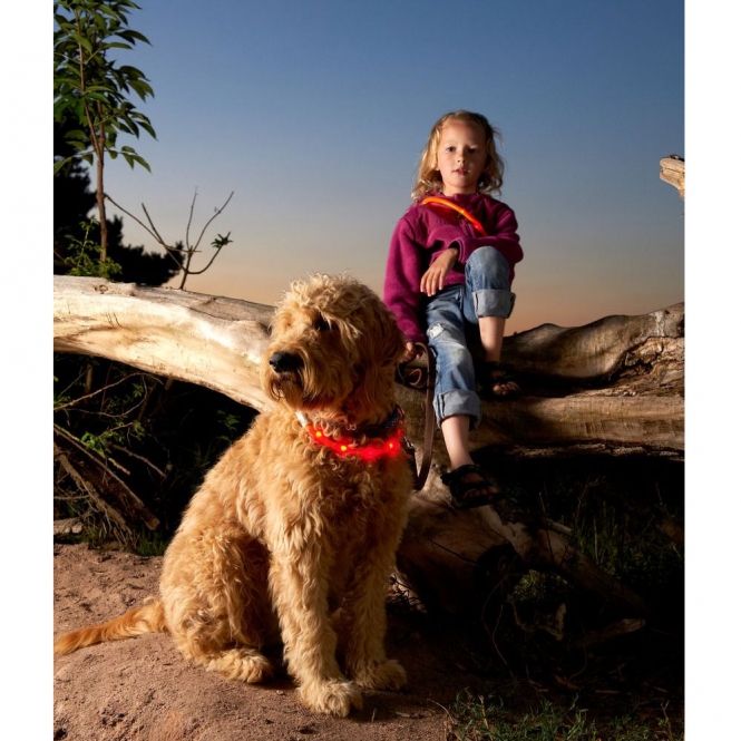 Karlie Visio Light LED-Leuchtschlauch mit USB - Gestreift - violett-pink – Bild 3