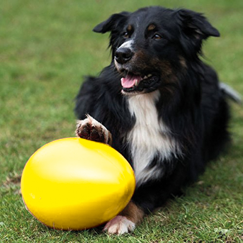 PROCYON Spielei / Treibei - Gelb – Bild 3